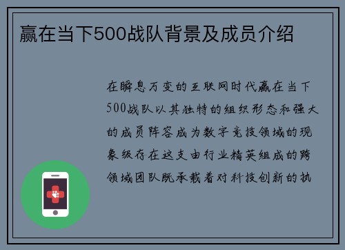 赢在当下500战队背景及成员介绍