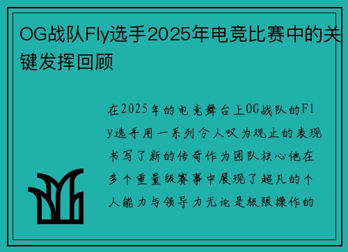 OG战队Fly选手2025年电竞比赛中的关键发挥回顾